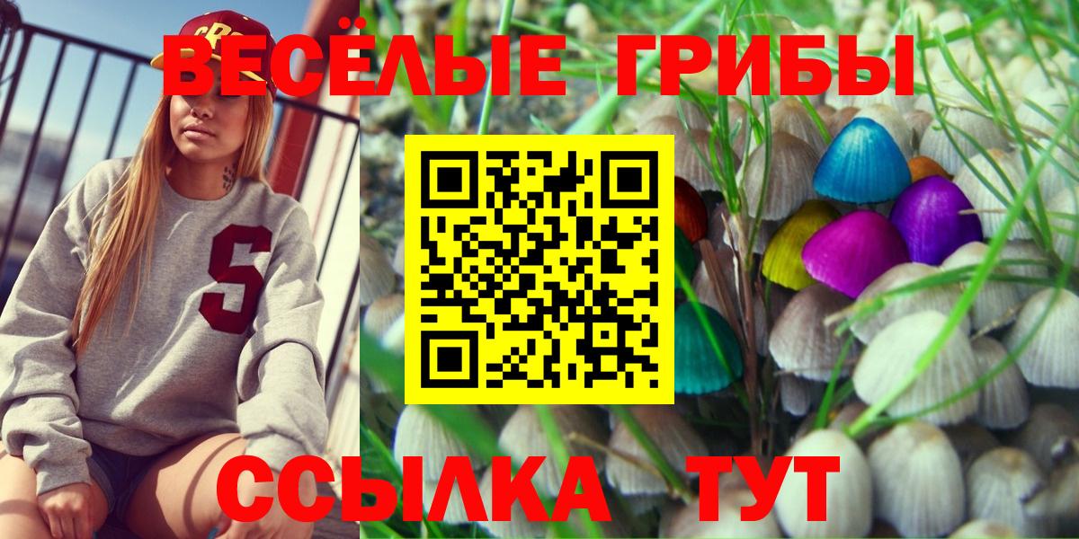 Галлюциногенные грибы GOLDEN TEACHER  купить наркоту  Губкинский  Вход с VPN 