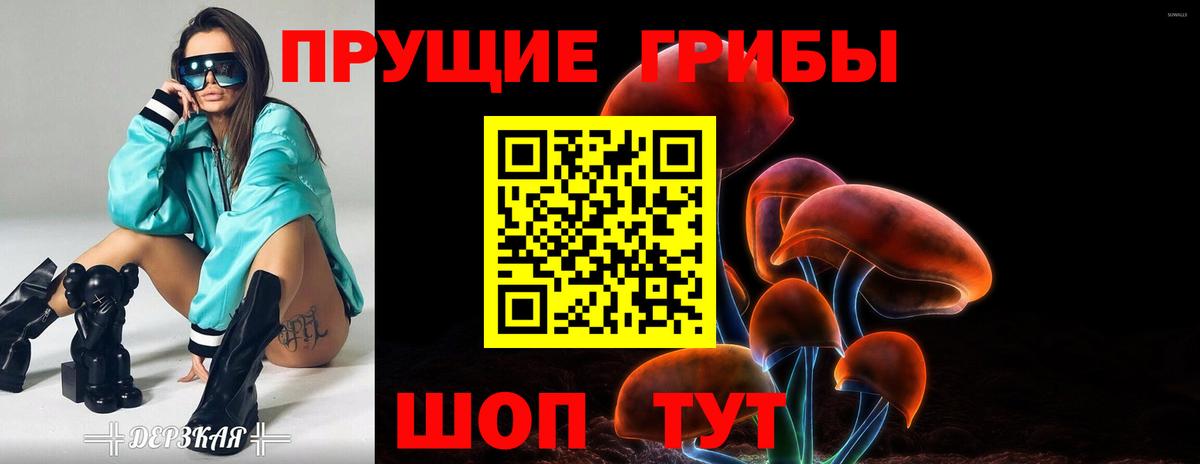 Псилоцибиновые грибы Cubensis Губкинский